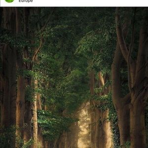 Meet your Posher, Arm